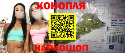 прущие крисы Партизанск