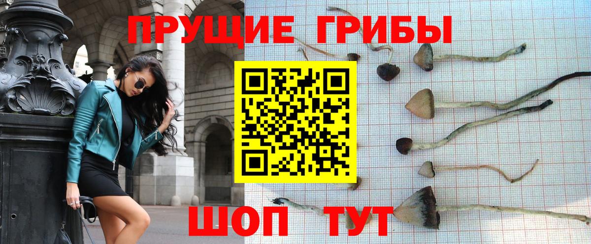 Симферополь  закладки  Галлюциногенные грибы мухоморы  Вход с VPN  Псилоцибиновые грибы Cubensis 