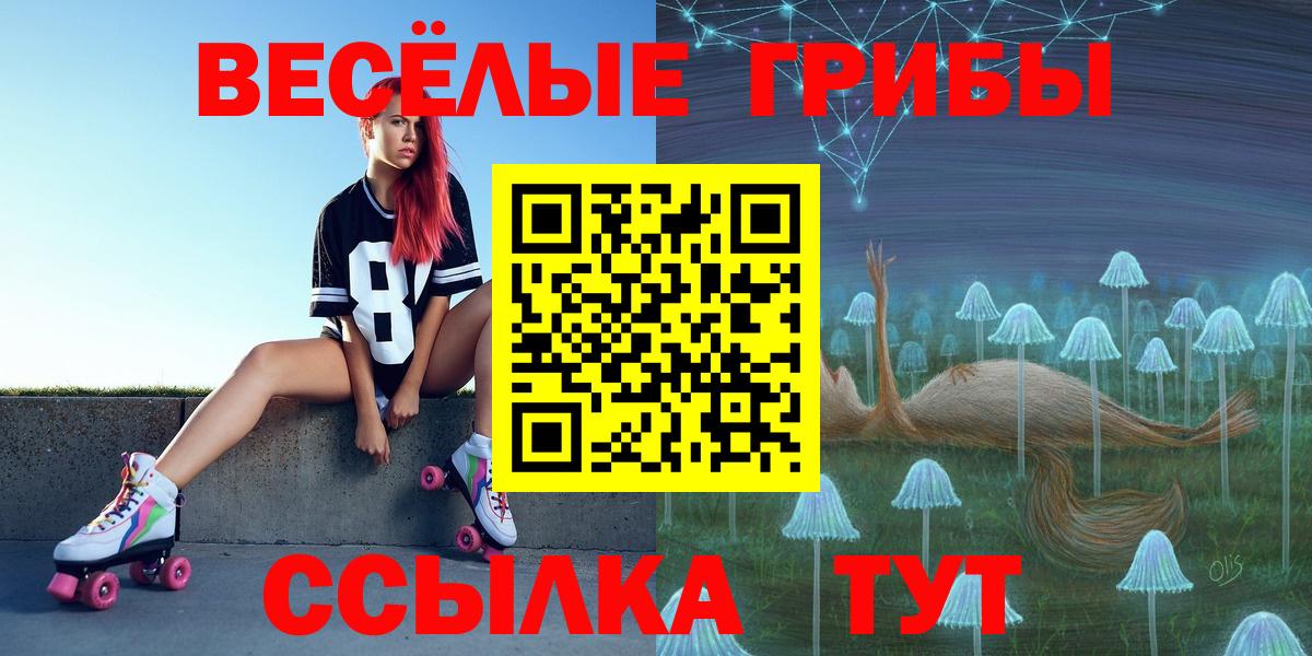 Псилоцибиновые грибы мицелий Симферополь